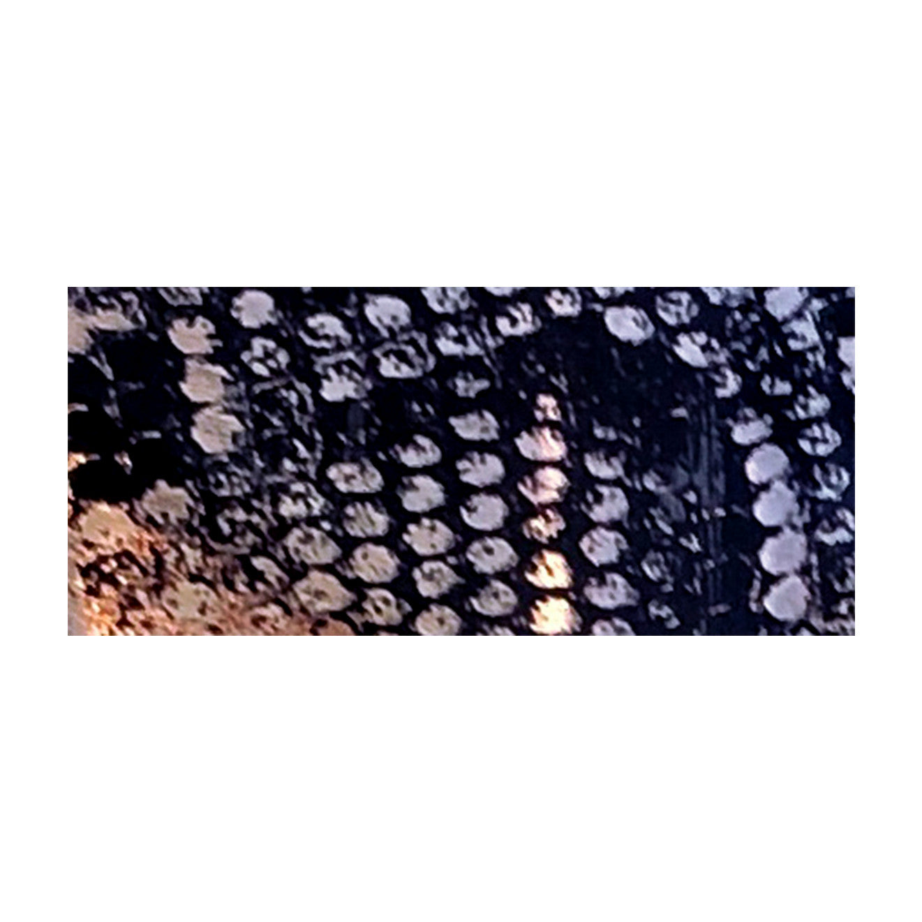 foil-snake-1-by-Fantasy-Nails