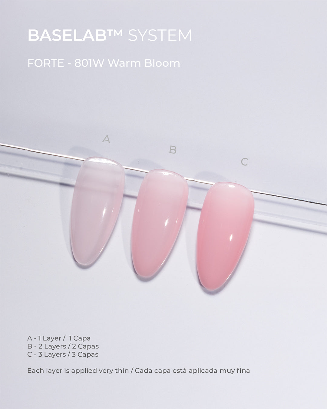 WARM BLOOM