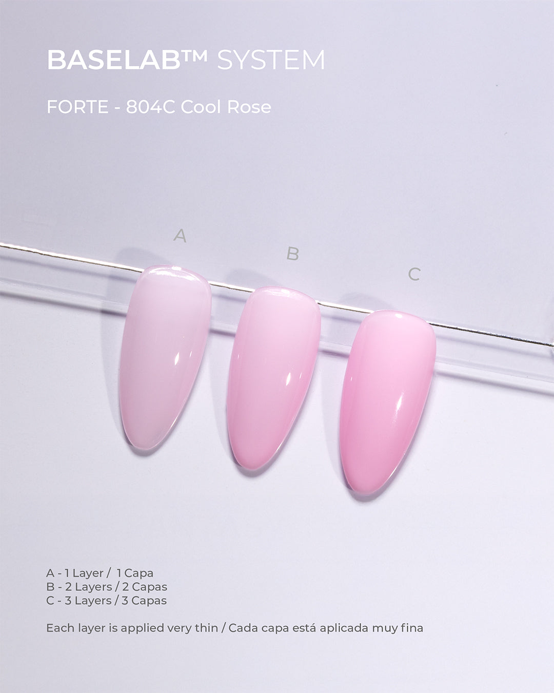 COOL ROSE