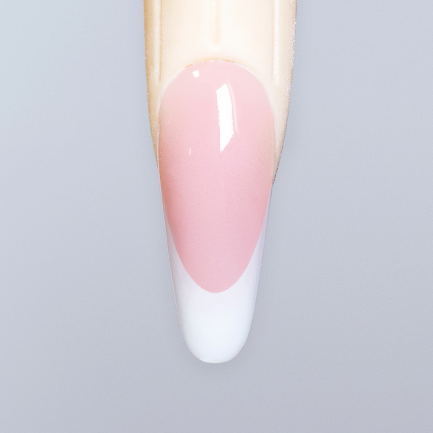 ACRYLIC MASTERCLASS | ENGLISH ACCESS