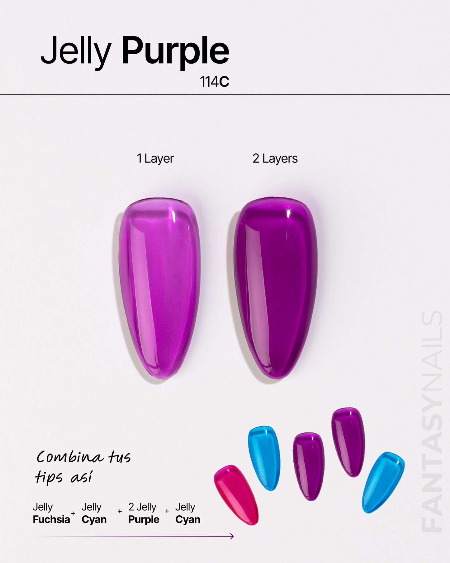 JELLY PURPLE