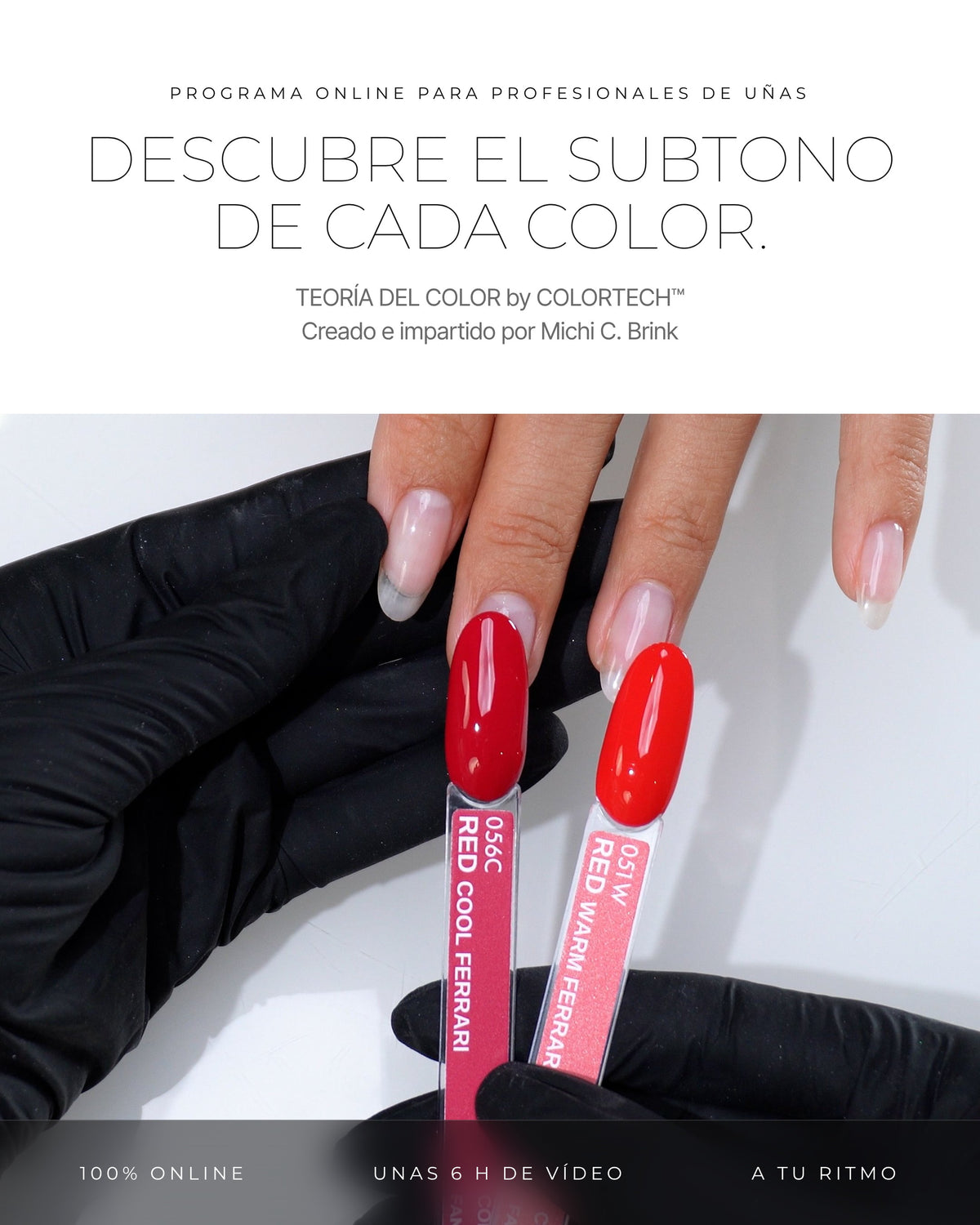 TEORÍA DEL COLOR by COLORTECH™, programa online de teoría del color para profesionales de uñas, con Michi C. Brink