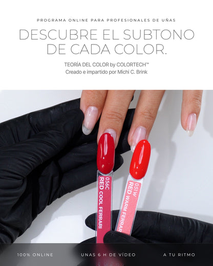 TEORÍA DEL COLOR by COLORTECH™, programa online de teoría del color para profesionales de uñas, con Michi C. Brink